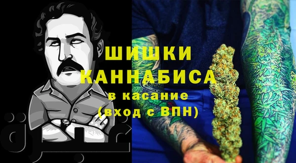 прущие крисы Горняк