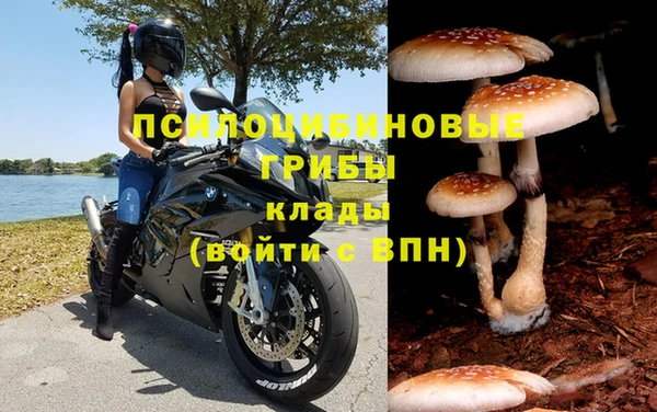 прущие крисы Горняк