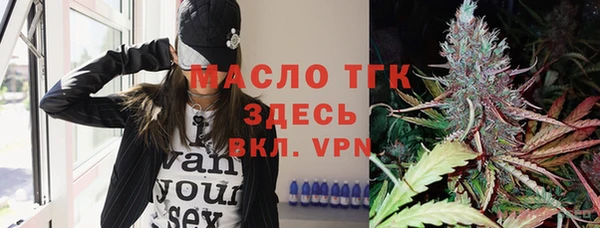 прущие крисы Горняк