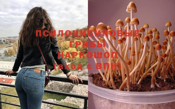прущие крисы Горняк
