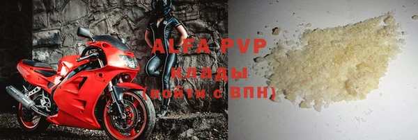 прущие крисы Горняк