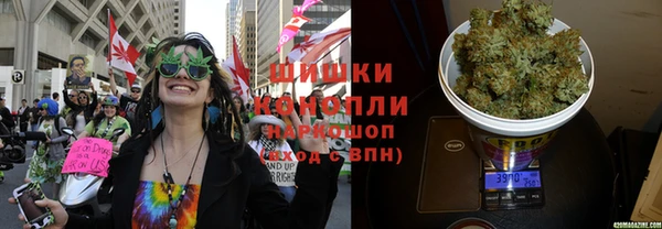 дмт Вязьма