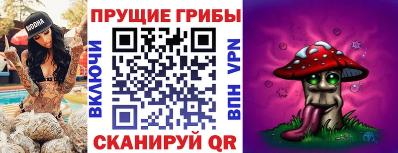 Псилоцибиновые грибы мухоморы  Купить где  Камызяк 